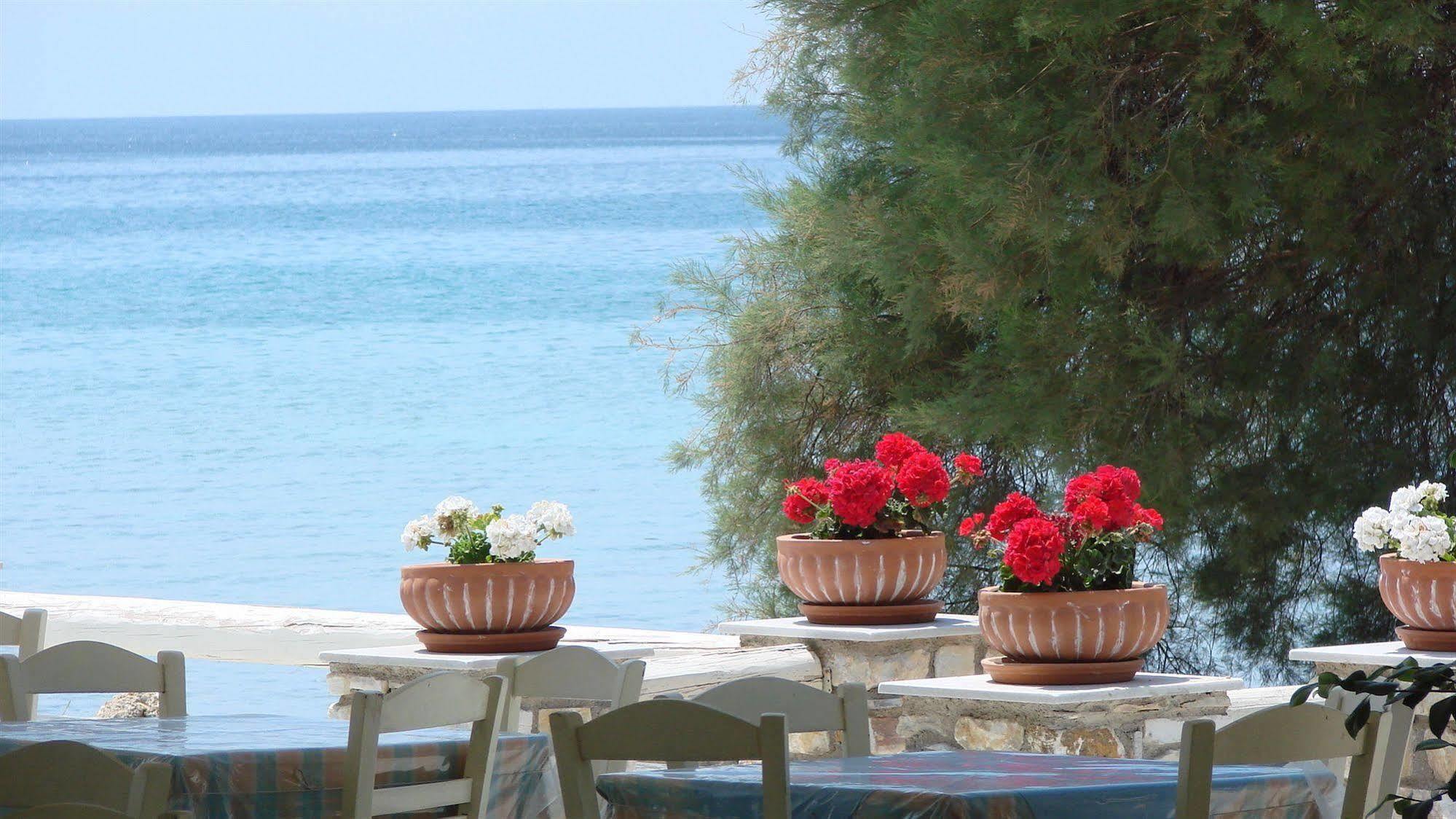 Galatis Beach Hotel Alikí المظهر الخارجي الصورة